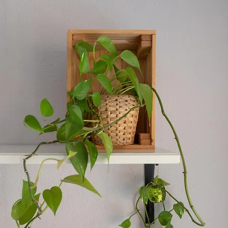 Sun & Beach Apartment *